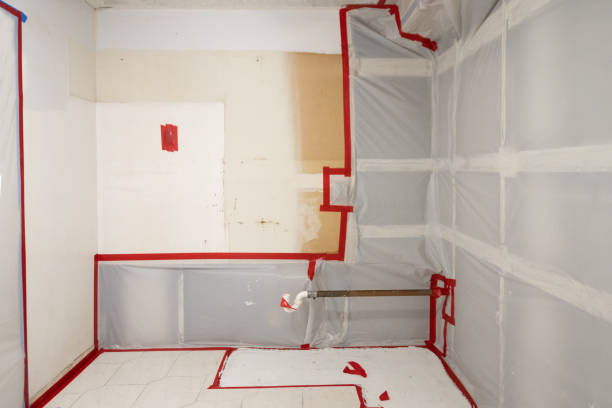  , PA Mold Remediation Pros